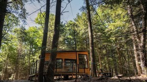 Une cabane en bois au cœur de la forêt, dotée d’une terrasse et entourée de grands arbres.