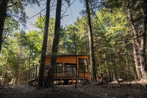 A forest cabin with a deck, surrounded by tall trees. - Quasi Cabin | Remote Cabin on Private Lake (Dysart Et Al)