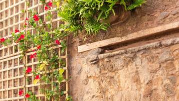 Detall de l'exterior