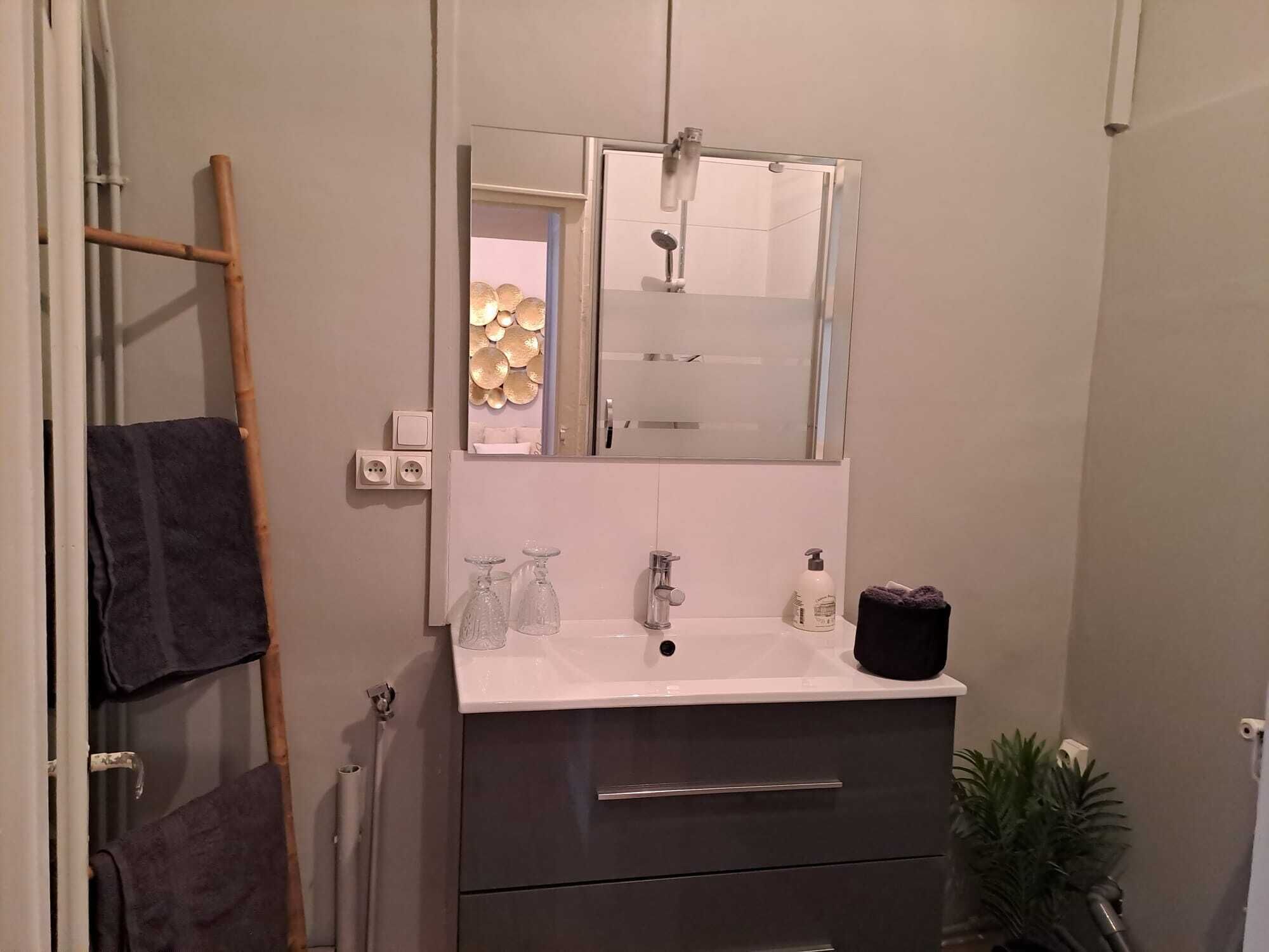 Un baño con espejo, lavamanos y dos cajones. Hay un perchero con toalla, una planta en maceta y un dispensador de jabón.