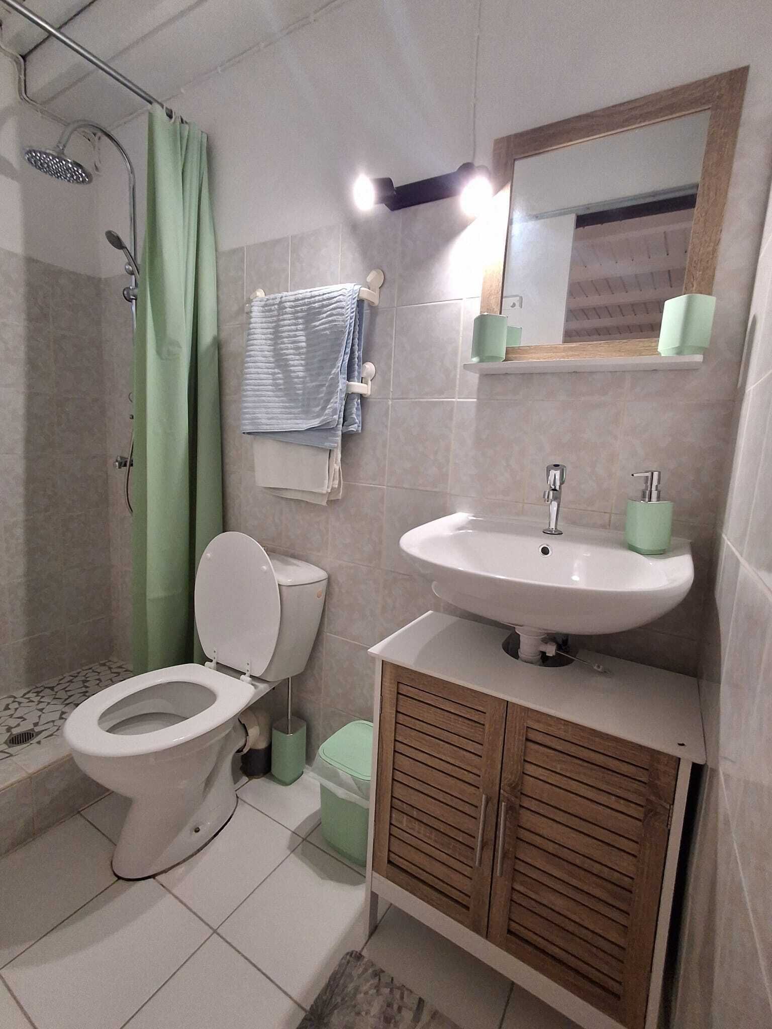 Un bagno con toilette, doccia, lavandino e mobile lavabo.