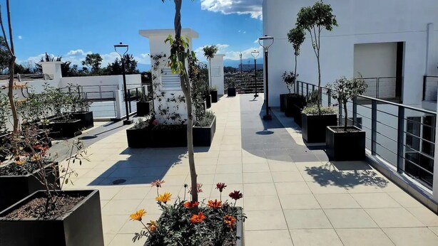 Eine Dachterrasse mit Topfpflanzen und freiem Blick auf die Stadt.