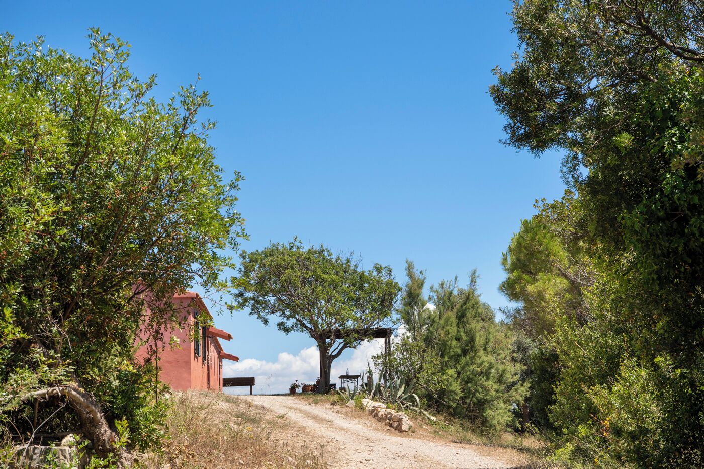 A rural road leading to a red building with a white structure in the background.