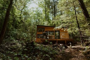 Exterior - Willow Cabin | Magnificent Remote Waterfront Cabin (Dysart)