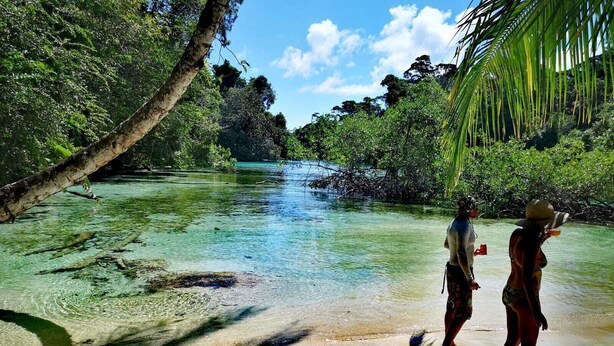 Una playa tropical con agua cristalina, palmeras y una persona en el agua.