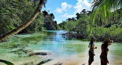 All inclusive 40ft Sailing catamaran in Bocas del Toro