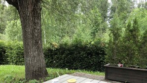 Buiten dineren