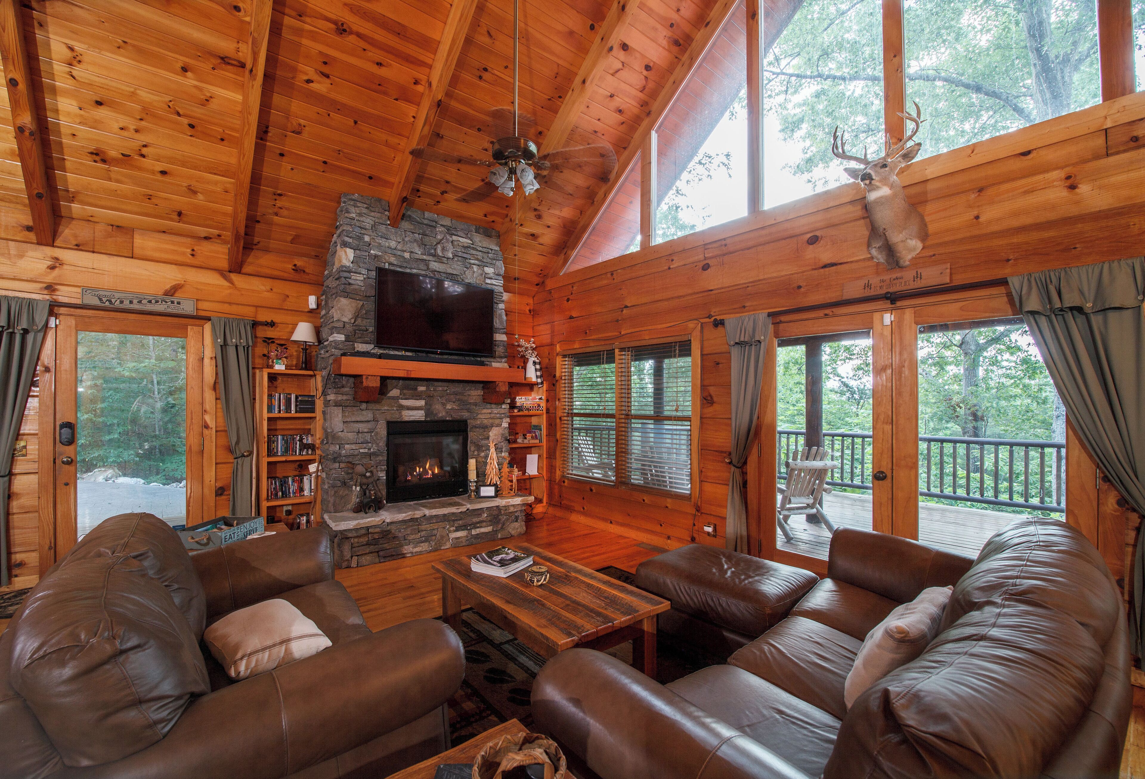 TV, fireplace
