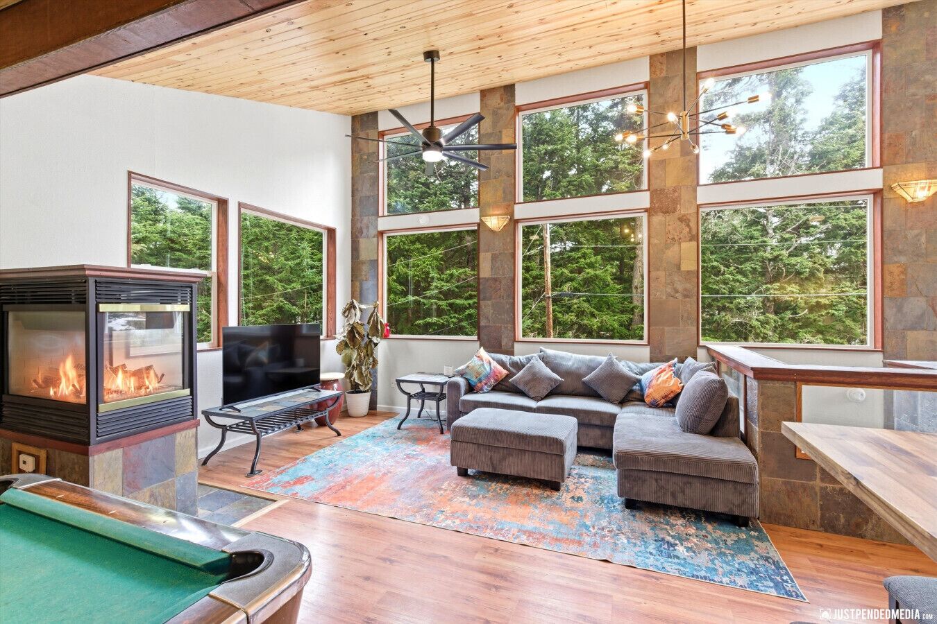 TV, fireplace