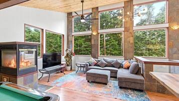 TV, fireplace