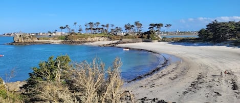 Playa