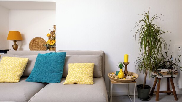 A living room with a sofa, pillows, a lamp, a small table with a plant, and a potted plant. - Elegant Lakefront Penthouse - Casa Barozzi (Luino)