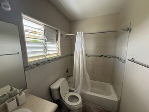 Shower, towels, soap, toilet paper - Cozy 1-bedroom apartment in tranquil Kingston with AC/Hot Water (Kingston)