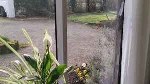 A potted plant on a table near a window with a view of a garden and a white vehicle outside. - Studio NATURE (Marboz)