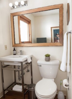A bathroom with a white sink, a toilet, a mirror, and a small plant on the toilet. - Cabin close to hiking trails and ski resorts (South Lake Tahoe)