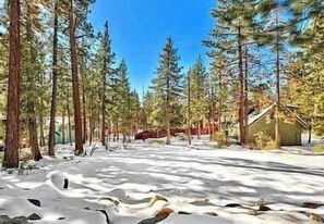 Property grounds - Large Family ski Chalet blocks to the ski resort (South Lake Tahoe)
