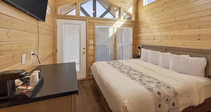 Cozy Tiny Home 2 King Room Sleeps 4