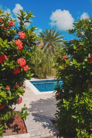 Pool - Southfork is a Caribbean estate where luxury, space, and privacy come togethe (St Paul)