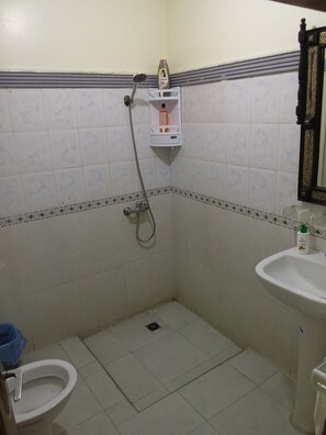 Dusche, Haartrockner, Bidet, Handtücher
