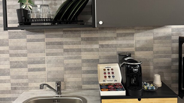 Una cocina de diseño moderno, con un lavamanos de acero inoxidable, una cafetera y una estantería con una planta en maceta y cristalería.