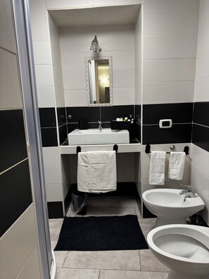 Dusche, Haartrockner, Bidet, Handtücher