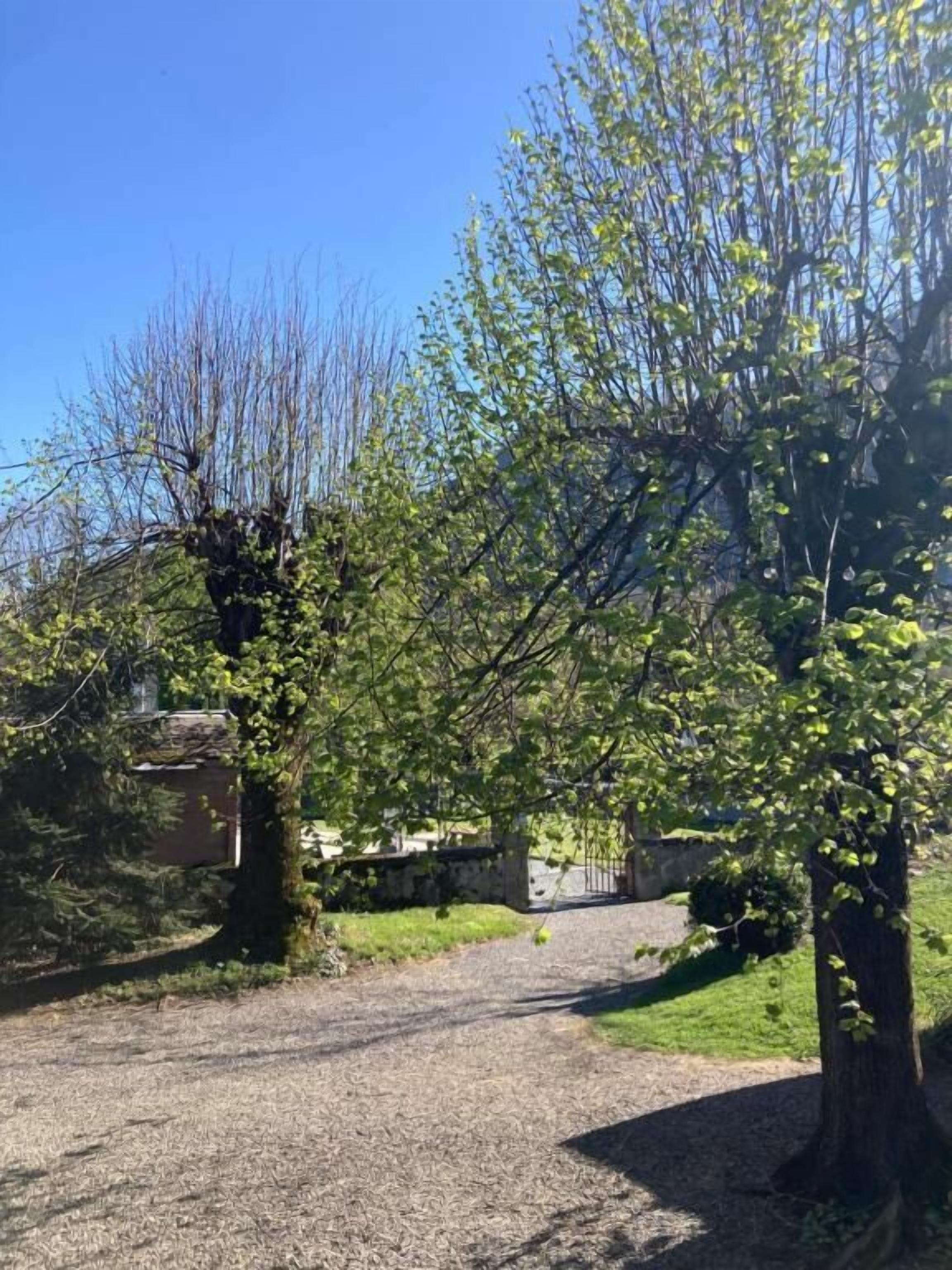 Habitación triple familiar, balcón, vistas a la montaña | Jardines del alojamiento