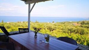 A covered outdoor seating area with a table, chairs, and a view of the sea and greenery.