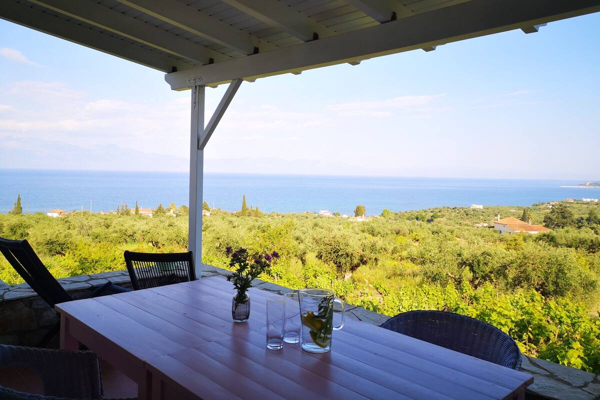 A covered outdoor seating area with a table, chairs, and a view of the sea and greenery.
