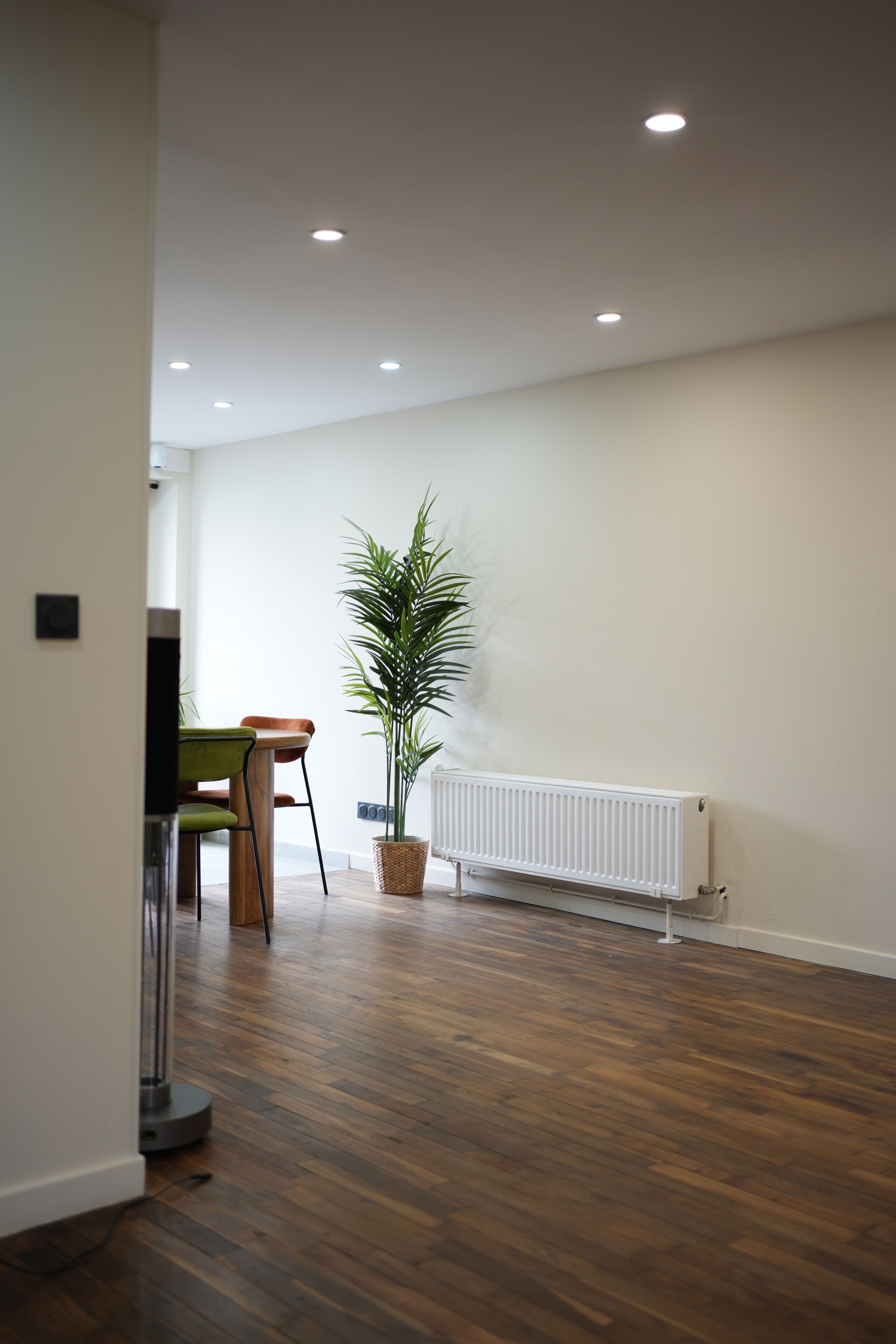 Une pièce avec un plancher en bois, un radiateur, une plante en pot et une chaise.