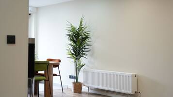 Une pièce avec un plancher en bois, un radiateur, une plante en pot et une chaise.