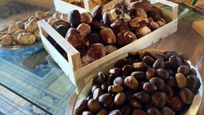 Een buffet met verschillende soorten eten, zoals noten, gebak en andere lekkernijen.