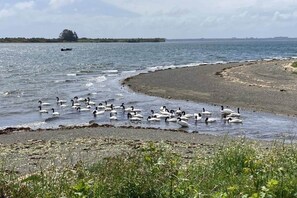 Beach - Fully equipped cabin in Chiloé, steps from the beach (Ancud)
