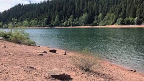 Paesaggio naturale con un lago, spiaggia sabbiosa e fitta foresta.