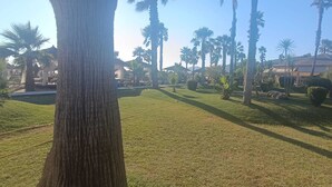 A grassy area with palm trees and a building in the background. - A two-storey wooden villa fully equipped with all amenities with Love (Durrës)