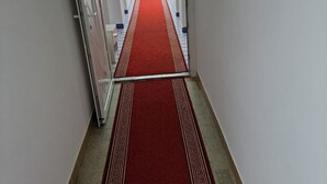 Um corredor com carpete vermelho que leva a uma porta.