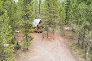 A cabin surrounded by dense forest with a dirt path leading to it. - Rugers Retreat | Fire Pit | Grill | 35 Mins To YNP (Island Park)