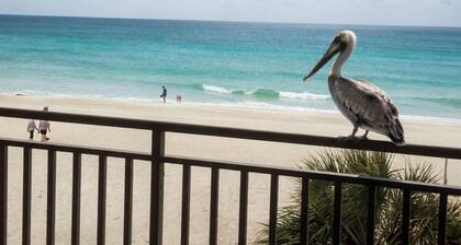 The Pelican's Perch, a Beachfront studio condo w/ balcony