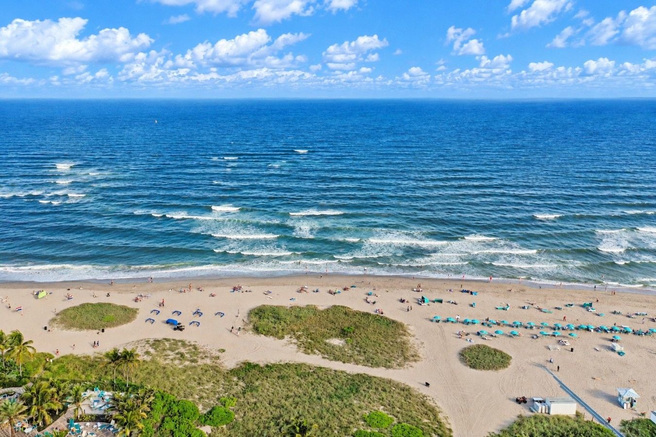 Uma praia com vista clara para o oceano, faixa de areia e vegetação.