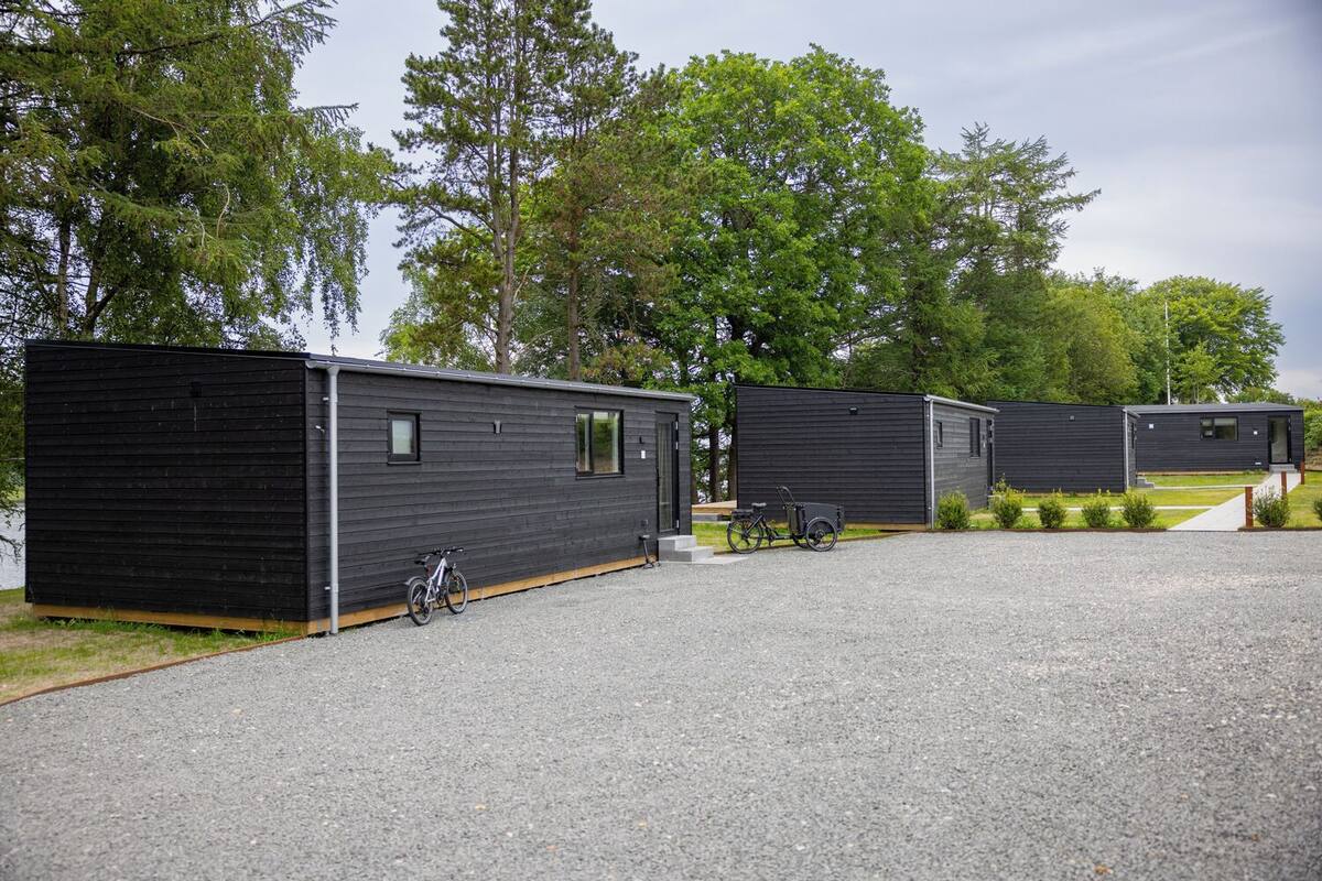Deluxe Cabin, Lake View | Living area | Printers