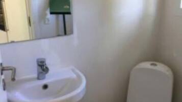 A bathroom with a sink and toilet.