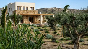 A modern villa with a stone facade, a covered outdoor seating area, and a landscaped garden with olive trees. - Casa di Nikolas Plaka Naxos (Plaka)