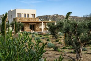 Eine moderne Villa mit Natursteinfassade, einer überdachten Sitzterrasse und einem angelegten Garten mit Olivenbäumen.
