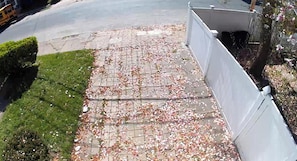 A paved walkway with scattered leaves, a white fence, and a hedge.