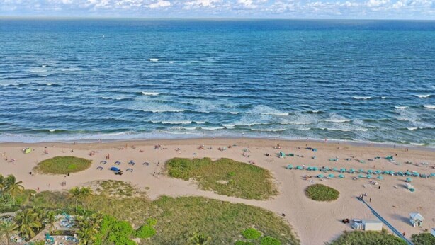 A beach with a clear view of the ocean, a sandy shore, and some greenery.