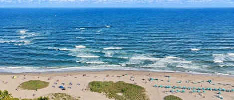 Una playa con vista despejada al océano, una orilla arenosa y algo de vegetación.