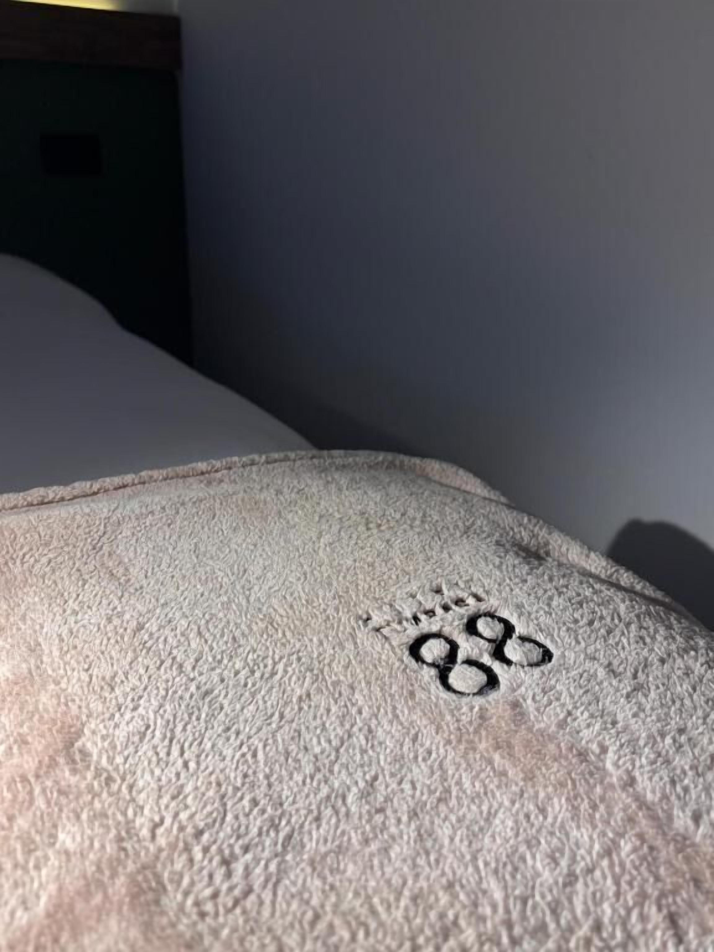 Habitación familiar, balcón, vistas a la ciudad | Miscelánea