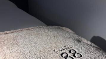 Habitación familiar, balcón, vistas a la ciudad | Miscelánea