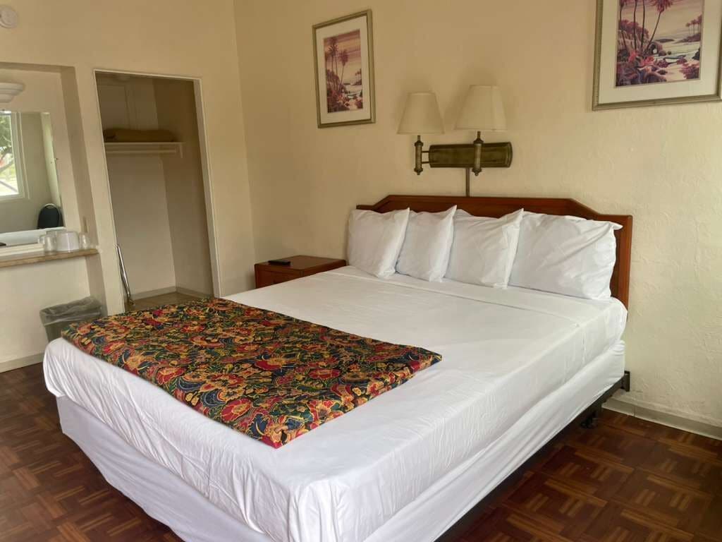 Standard Single Room, 1 King Bed