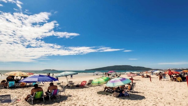 Una playa con sombrillas, sillas y cielo despejado.
