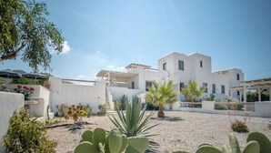 Un bâtiment moderne à la façade blanche, doté d’une cour en gravier et agrémenté de différents cactus et de petites plantes.